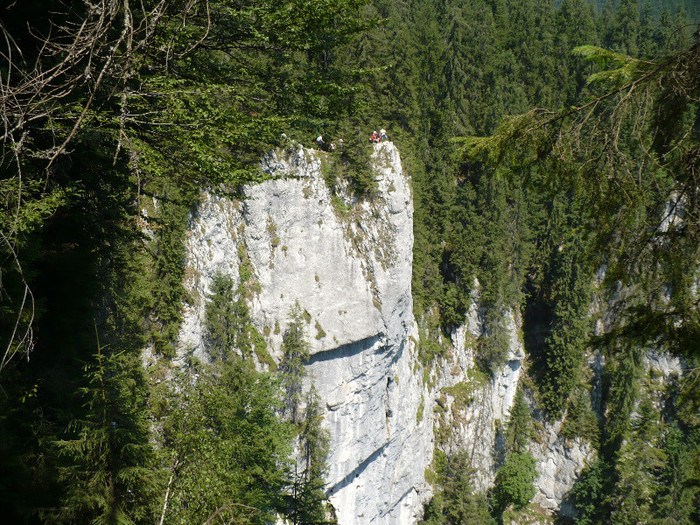 P1020596 - PADIS 2012