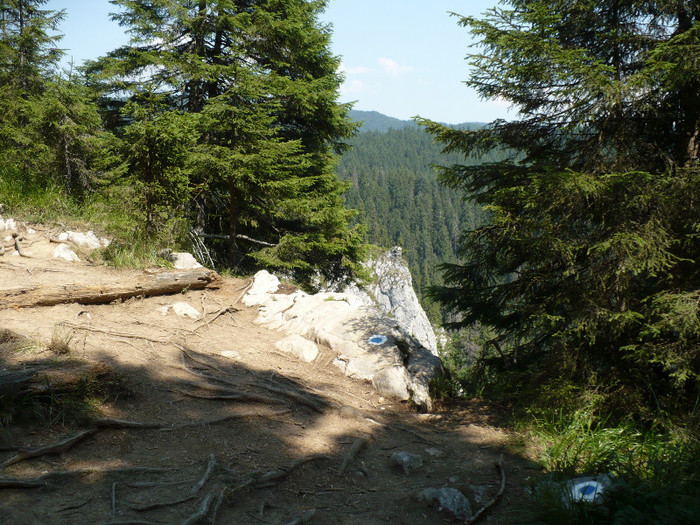 P1020603 - PADIS 2012