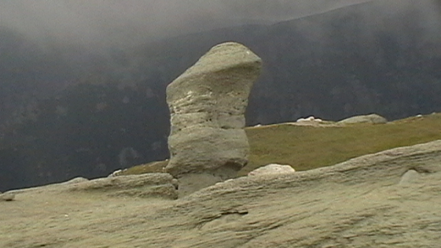 IMGA0373 - Vacanta 2012