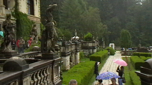 IMGA0525