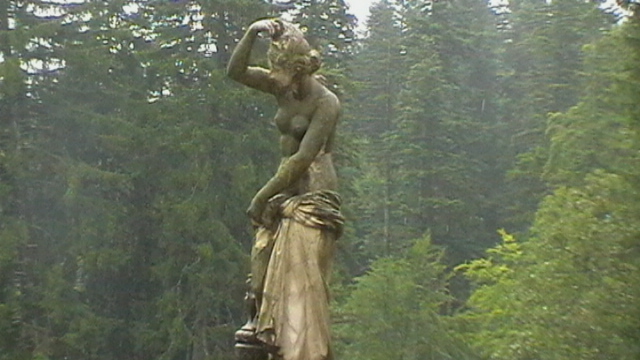 IMGA0526