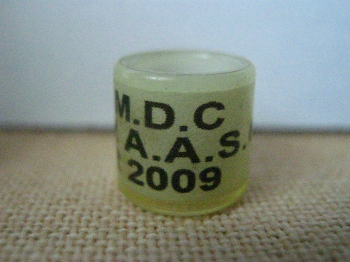 U.S.M.D.C AGADIR A.A.S.C MAR 2009 - MAROC