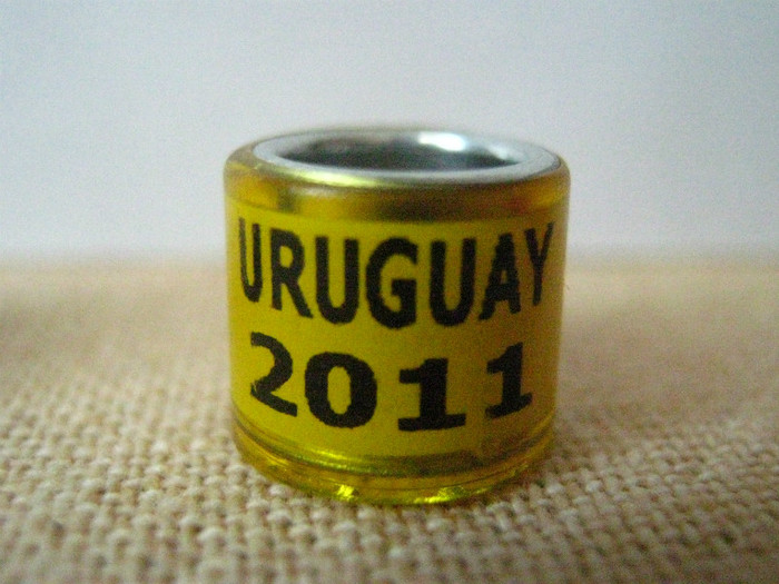 URUGUAY 2011 - URUGUAY