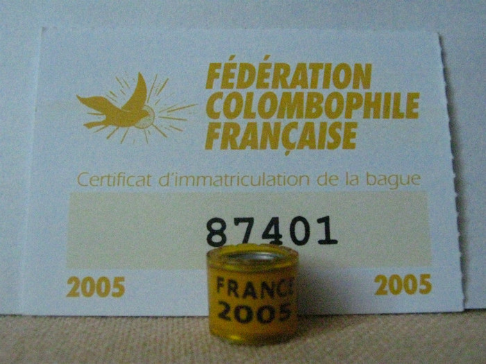 FRANCE 2005 - FRANCA FR