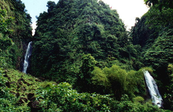 dominica2