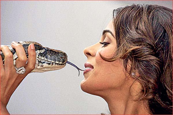 Mallika sheravat - Fotografie de coperta