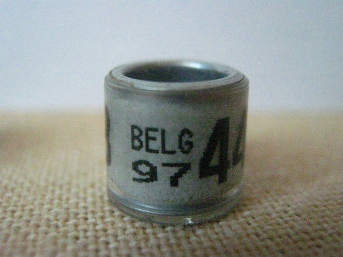 BELG 97 - BELGIA