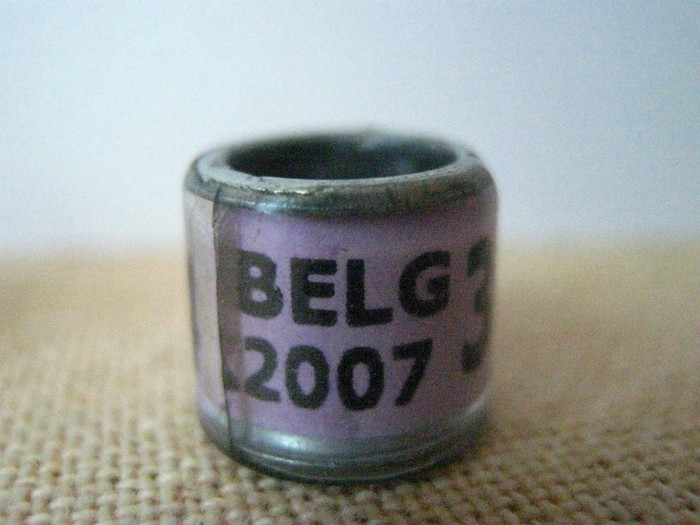 BELG  2007 - BELGIA