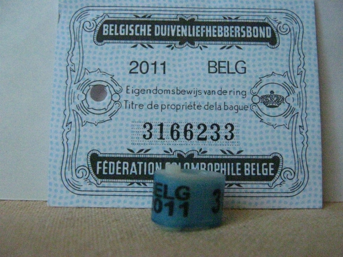 BELG  2011 - BELGIA