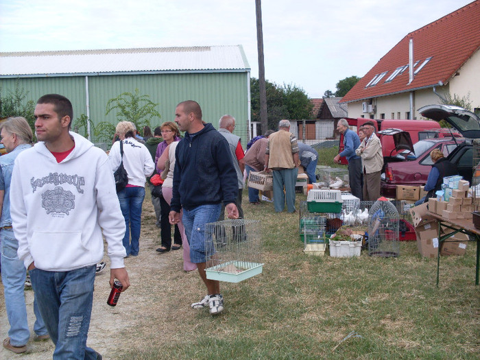 SDC11366 - piata monor august 2012