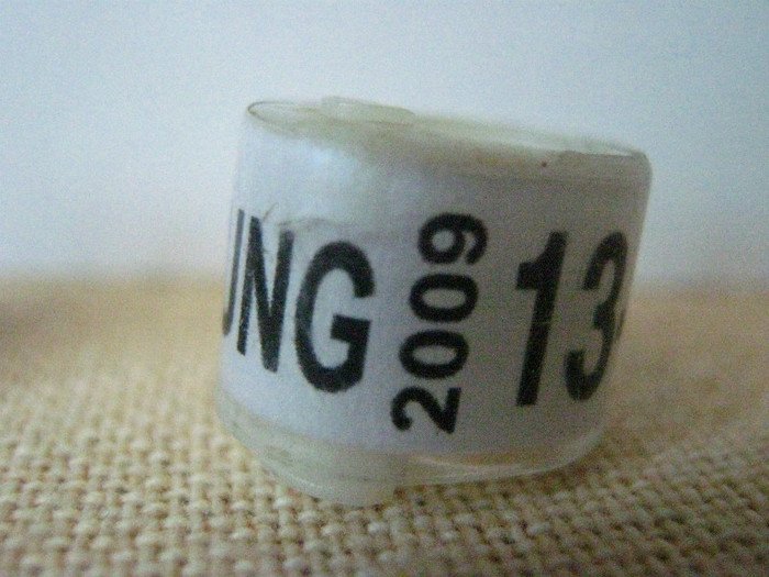 HUNG 2009 - UNGARIA