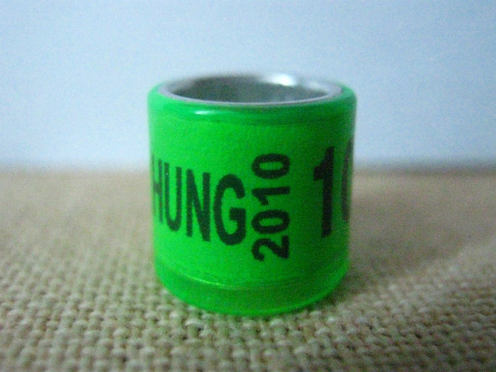 HUNG 2010