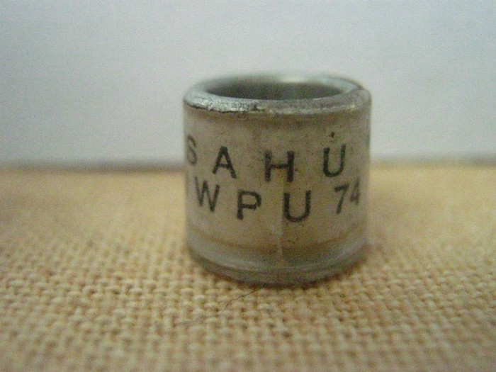 SAHU EWPU 74 - AFRICA DE SUD