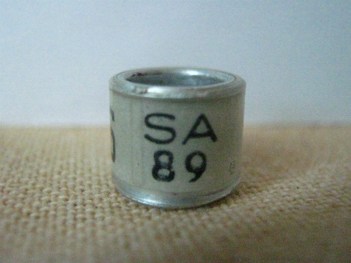 SA 89