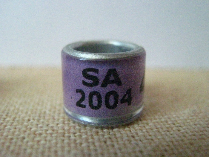 SA 2004