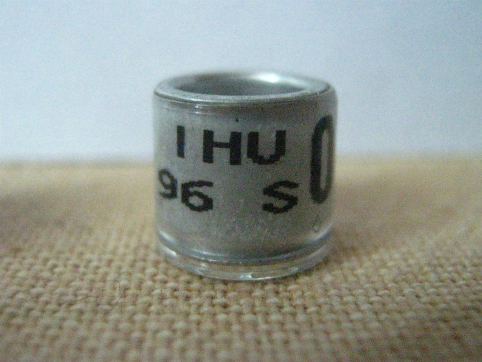 IHU 96 S - IRLANDA SUD IHU