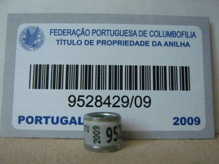 PORTUGAL 2009 - PORTUGALIA
