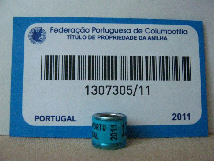 PORUGAL 2011 - PORTUGALIA