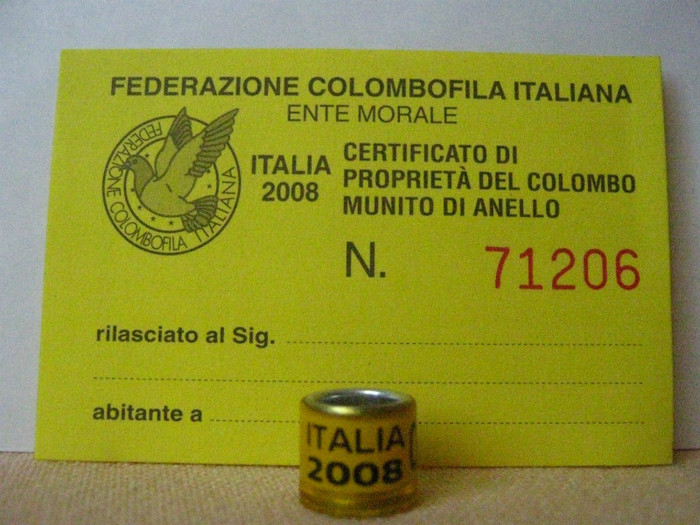 ITALIA 2008 - ITALIA