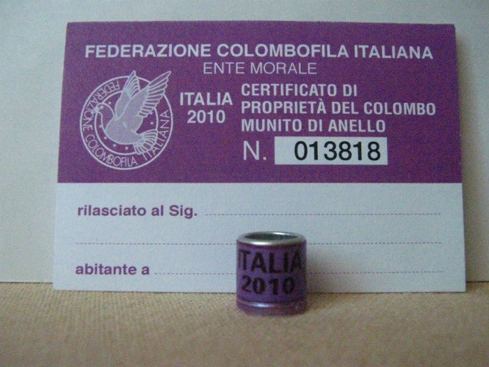 ITALIA 2010 - ITALIA