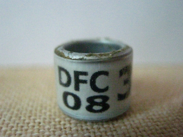 DFC 08