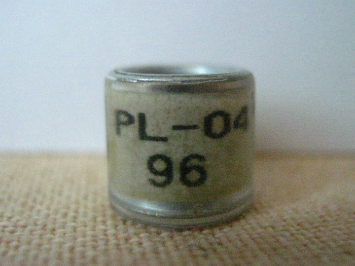 PL-04 96