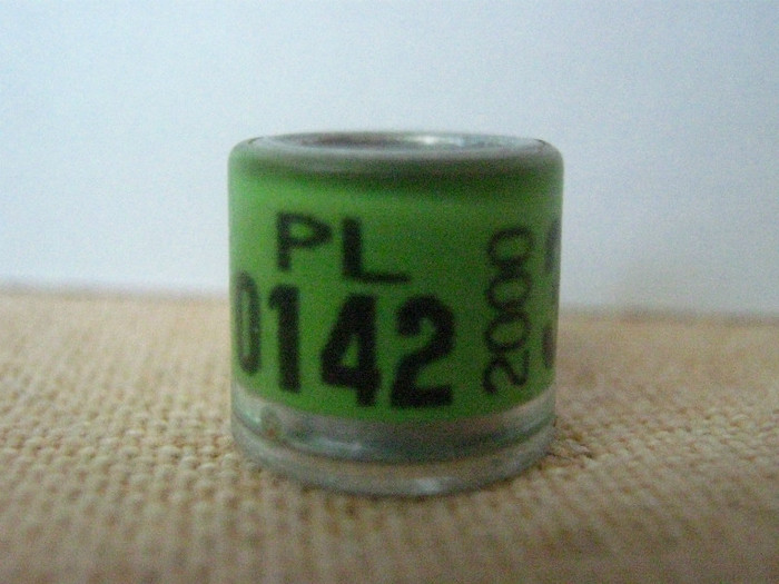 PL 2000