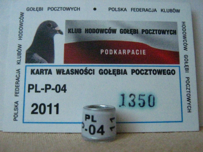 PL P-04 11 - POLONIA PL