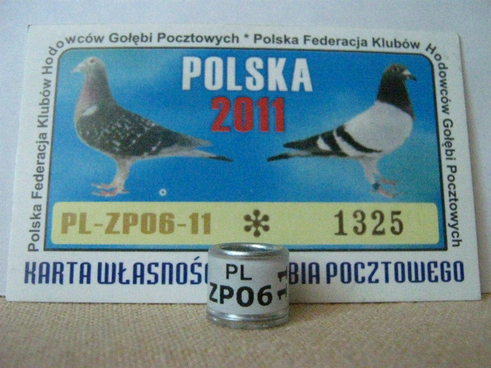 PL ZP06 11 - POLONIA PL