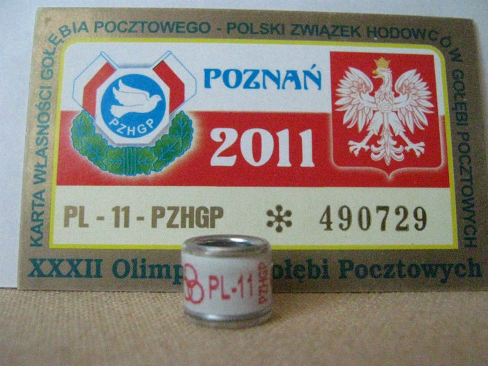 PL 11 PZHGP - POLONIA PL