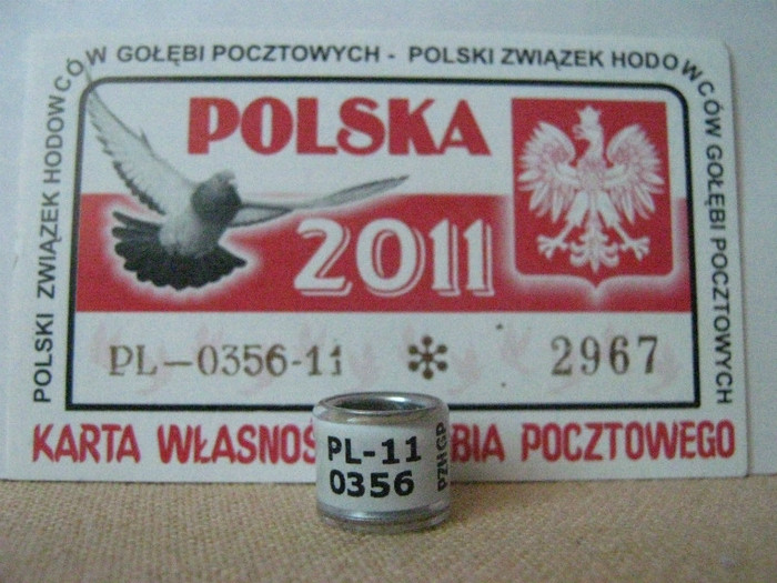 PL-11 PZHGP - POLONIA PL