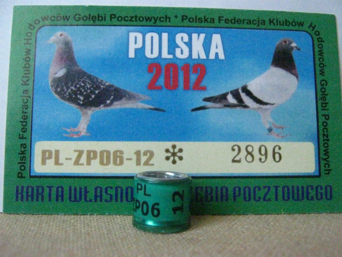 PL-ZP06 12 - POLONIA PL