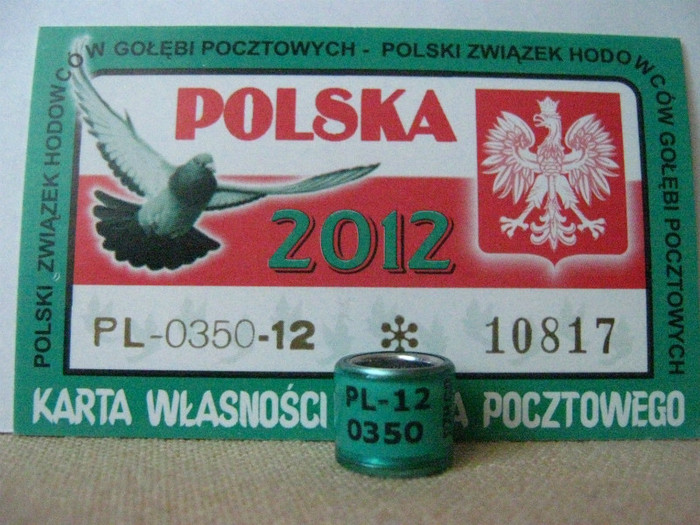 PL-12 PZHGP - POLONIA PL