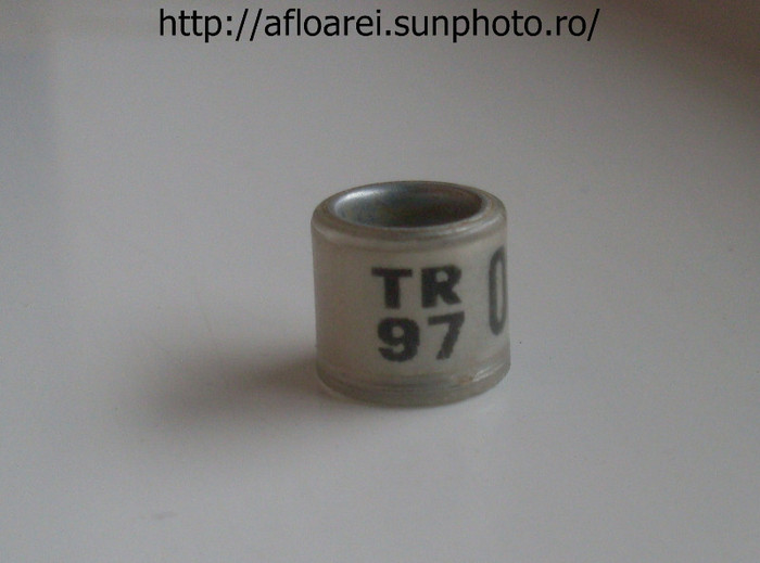 tr 97 - TURCIA-TR