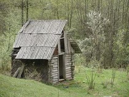 ~ Casa de vis - COCIOABA ~