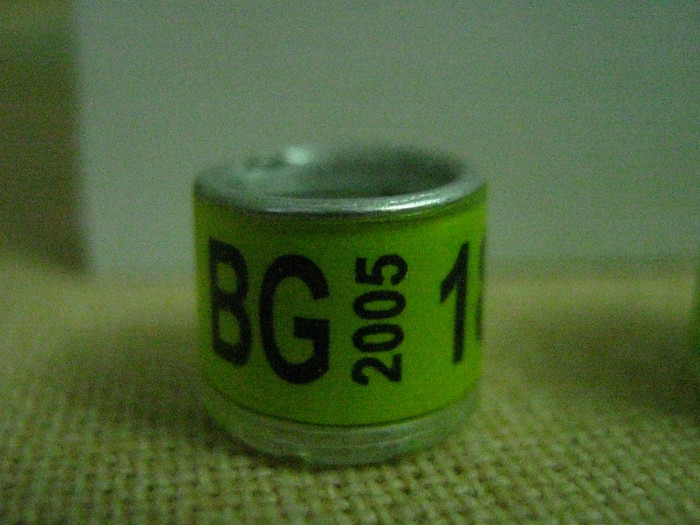 BG 2005