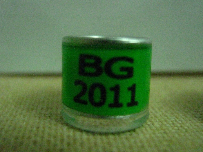 BG 2011