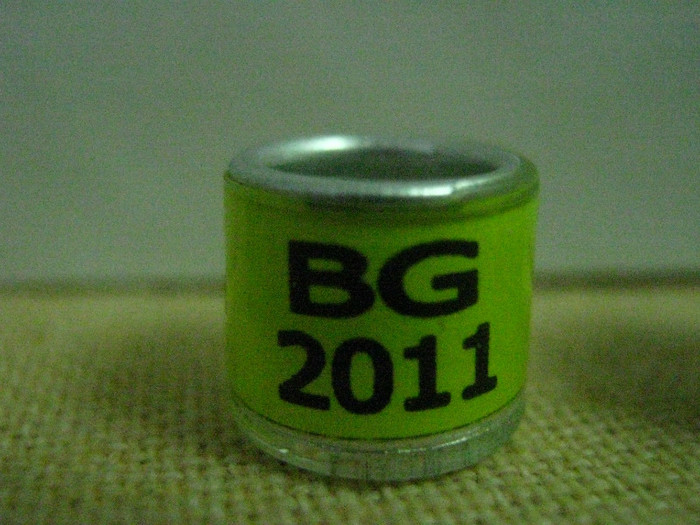 BG 2011