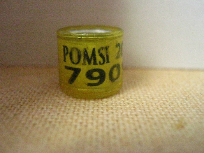 POMSI 2011 - INDONEZIA