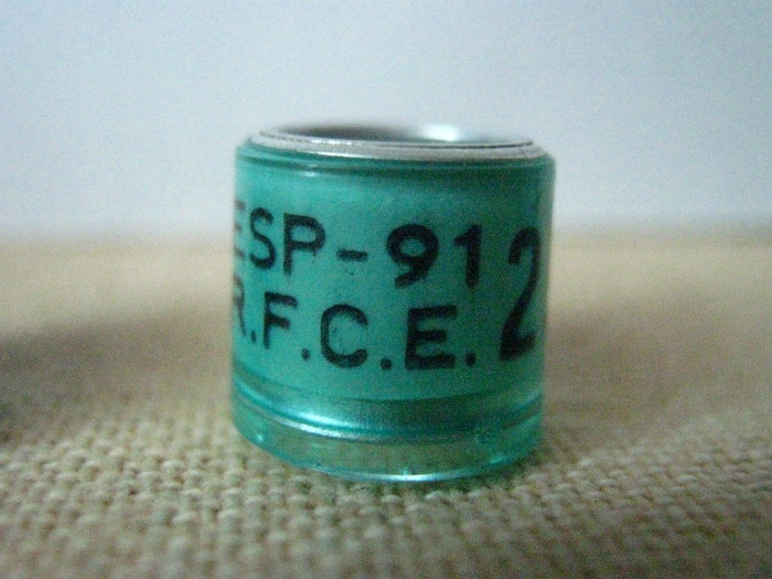 ESP-91 R.F.C.E - SPANIA