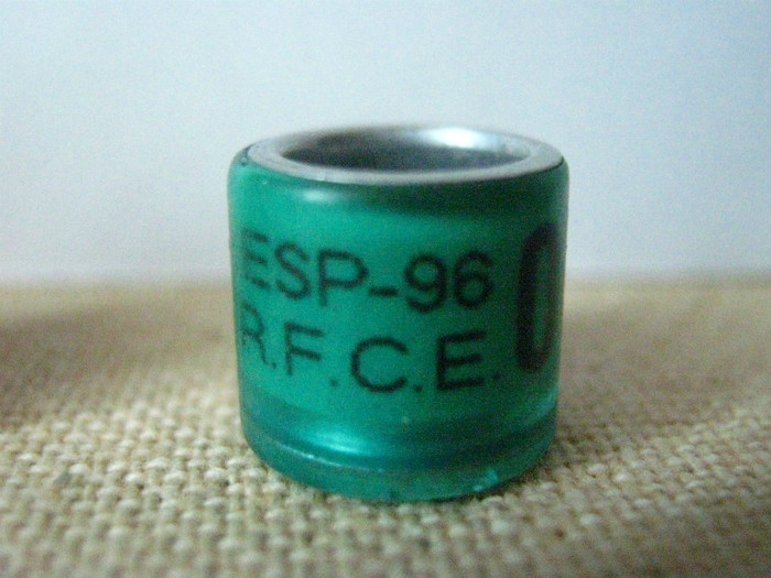 ESP-96 R.F.C.E. - SPANIA