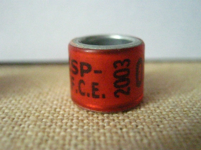 ESP-2003 R.F.C.E. - SPANIA