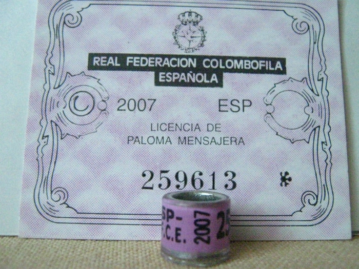 ESP-2007 R.F.C.E. - SPANIA