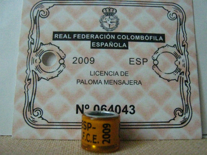 ESP-2009 R.F.C.E. - SPANIA
