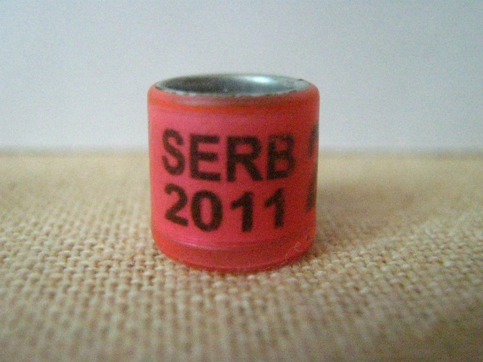 SERB 2011 - SERBIA