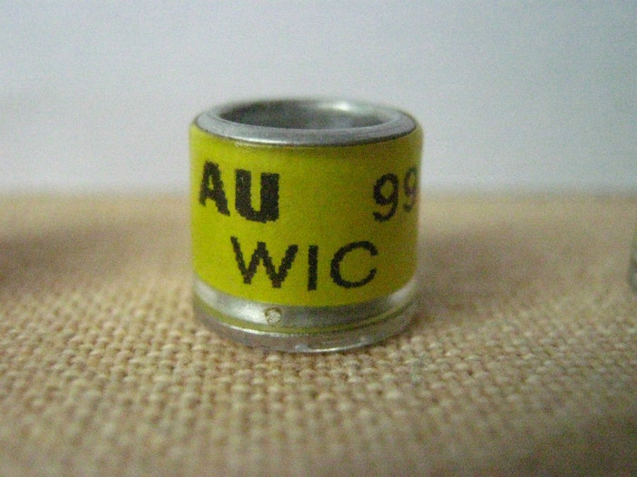 AU 99 WIC - AMERICA
