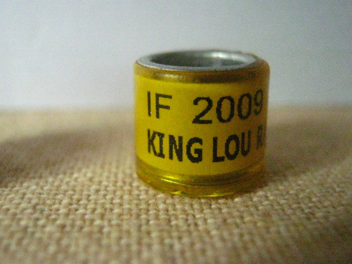 IF 2009 KING LOU RACE