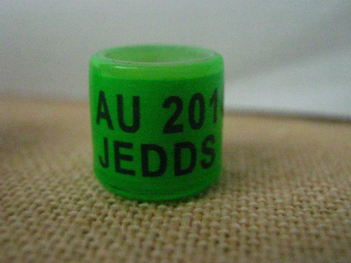 AU 2010 JEDDS