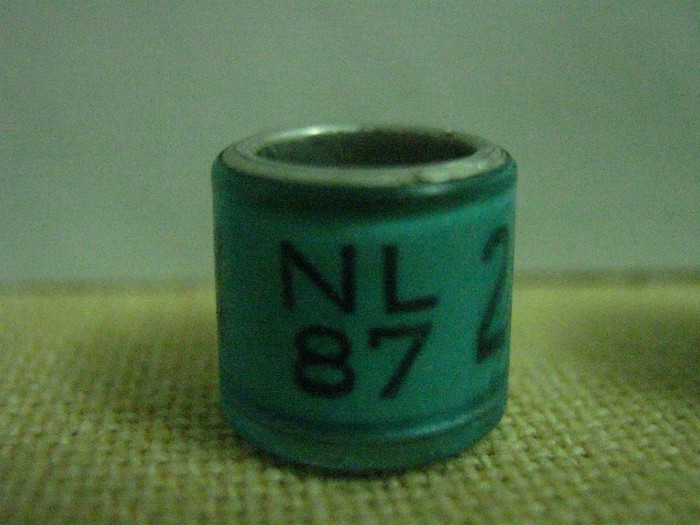 NL 87