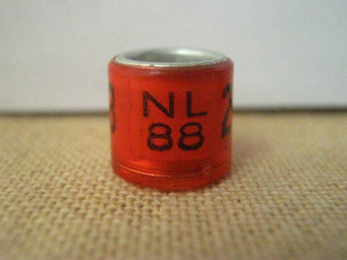 NL 88 - OLANDA NL